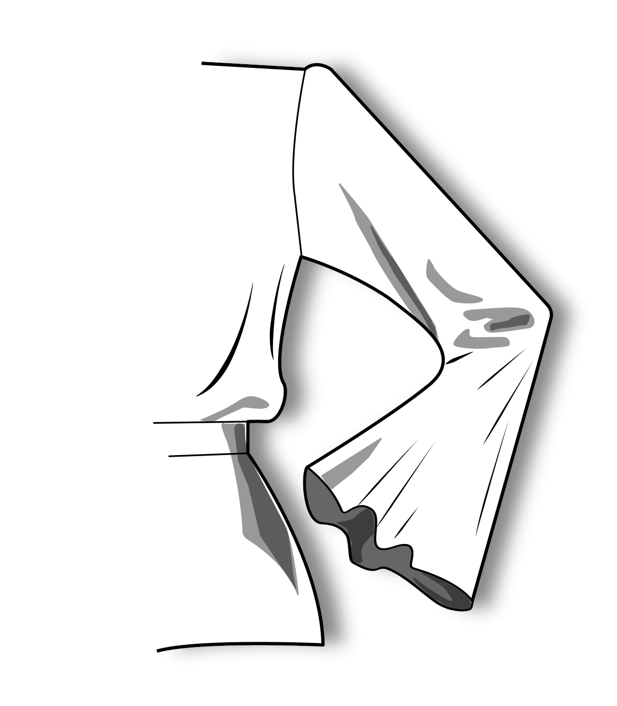 Set of sleeves to the base of a dress of a semi-fitted silhouette according to the method of M. Muller and Son (russian language)