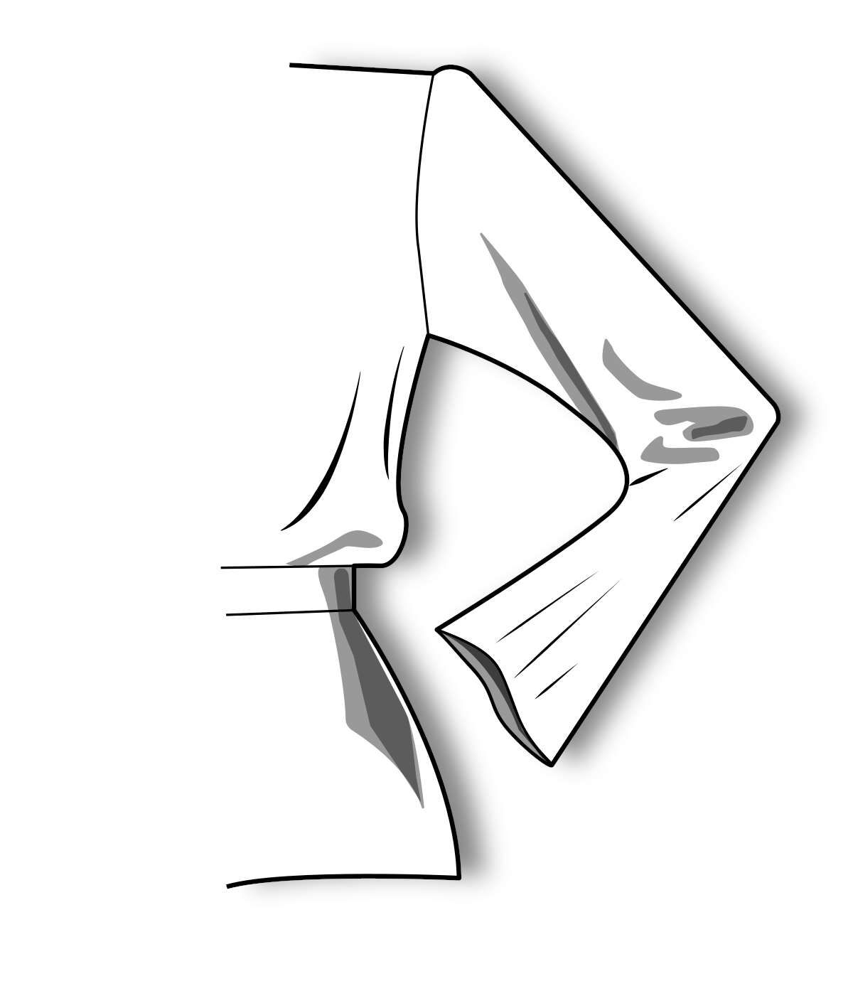 Set of sleeves to the base of a dress of a semi-fitted silhouette according to the method of M. Muller and Son (russian language)