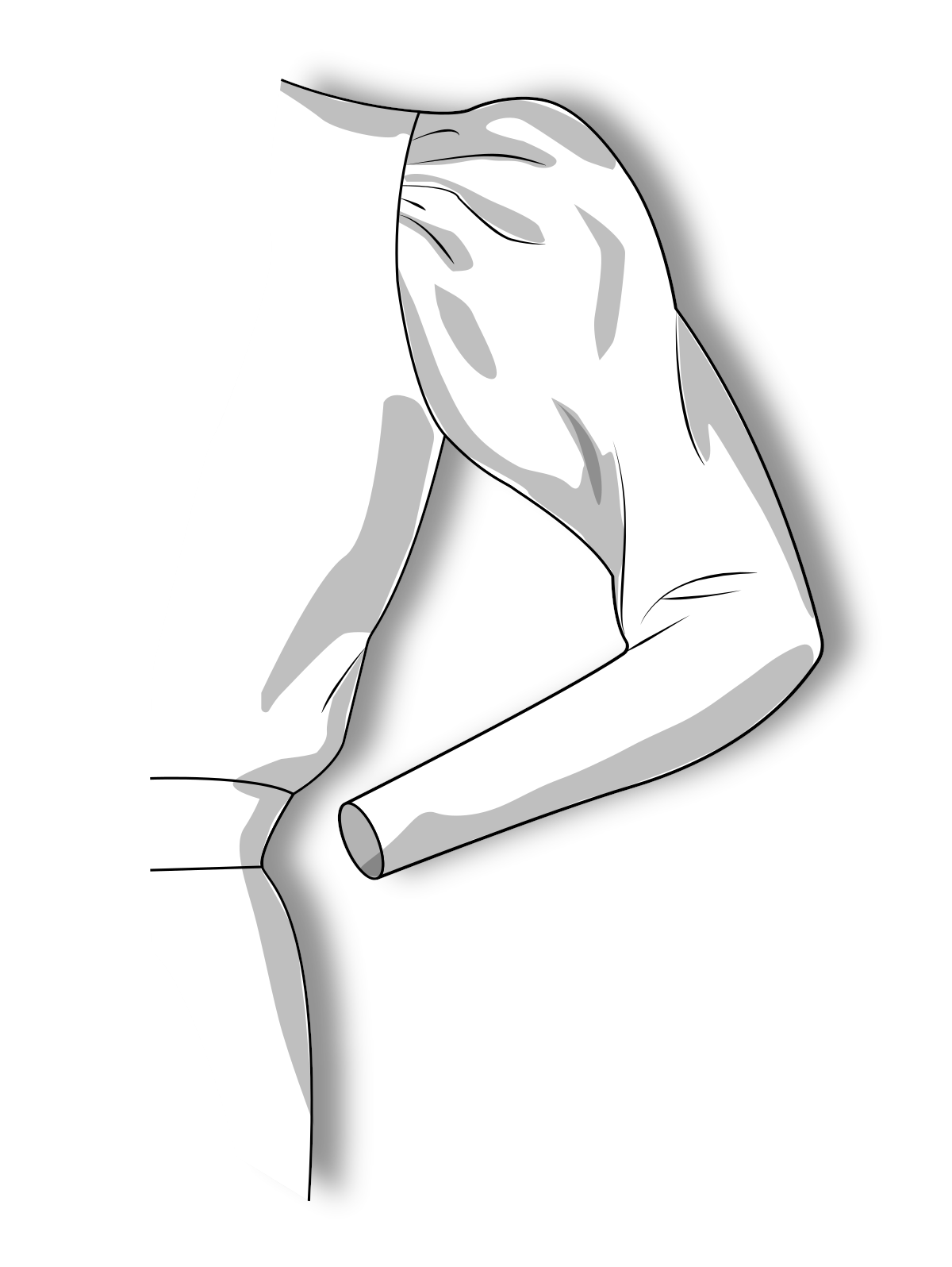 Set of sleeves to the base of a dress of a semi-fitted silhouette according to the method of M. Muller and Son (russian language)